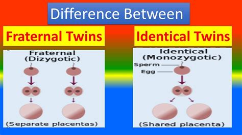 pictures of fraternal twins|difference between fraternal and identical twins.